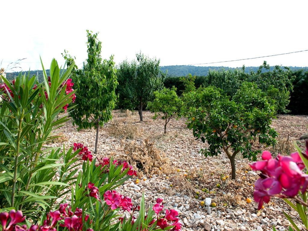 B&B La Formichina Peschici Exterior foto